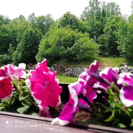 Vikendica Njegusi Villa Cetinje Esterno foto