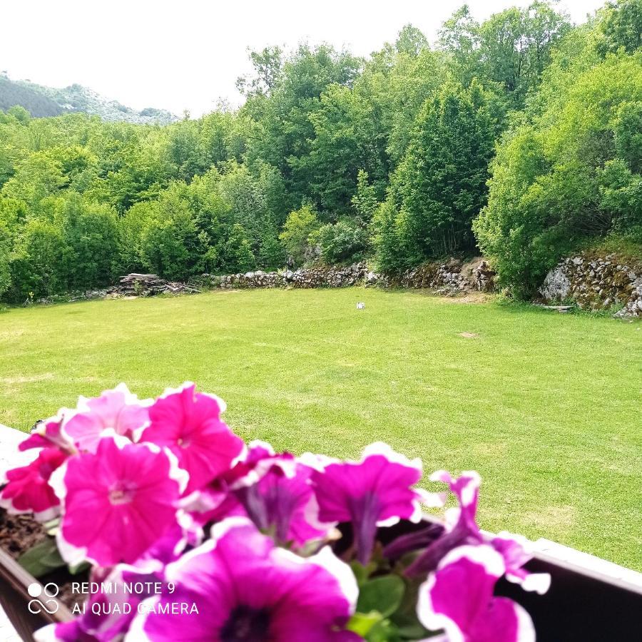 Vikendica Njegusi Villa Cetinje Esterno foto