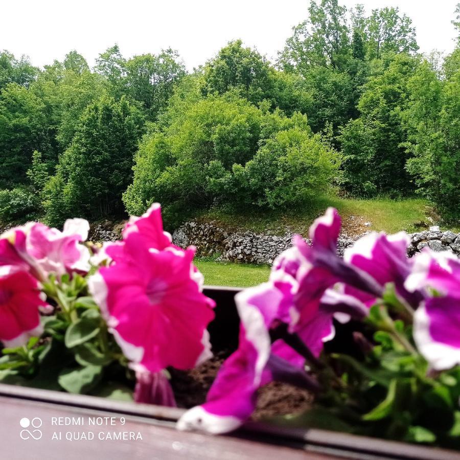 Vikendica Njegusi Villa Cetinje Esterno foto